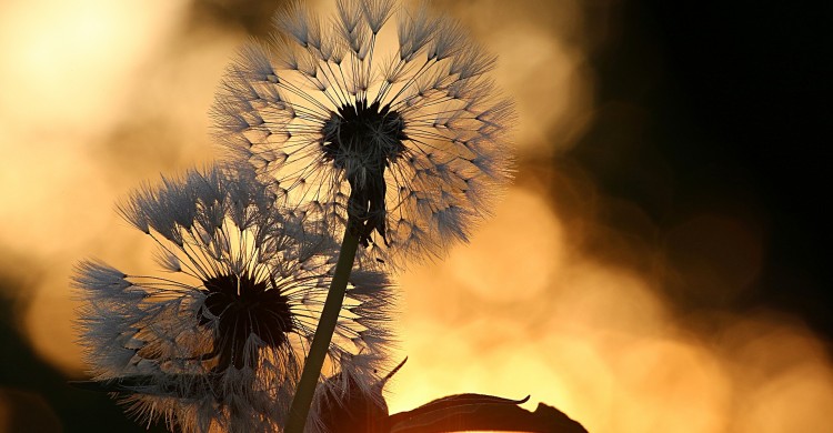 Sa nu ceri nimanui sa intre in viata ta! Cine trebuie sa fie acolo va merge pe acelasi drum cu tine