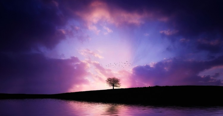 Liniştea sufletească – Calmul minţii bijuterie a înţelepciunii