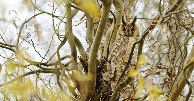 Cauta in tine raspunsurile – fa curatenie inlauntrul tau